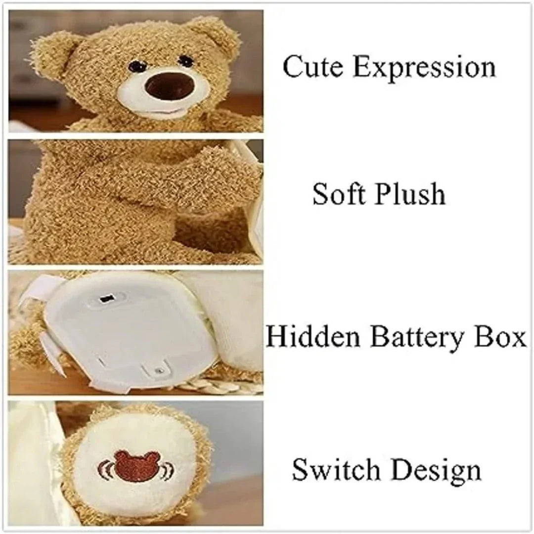Bear Pee Ka Boo Bear Plush Toy
