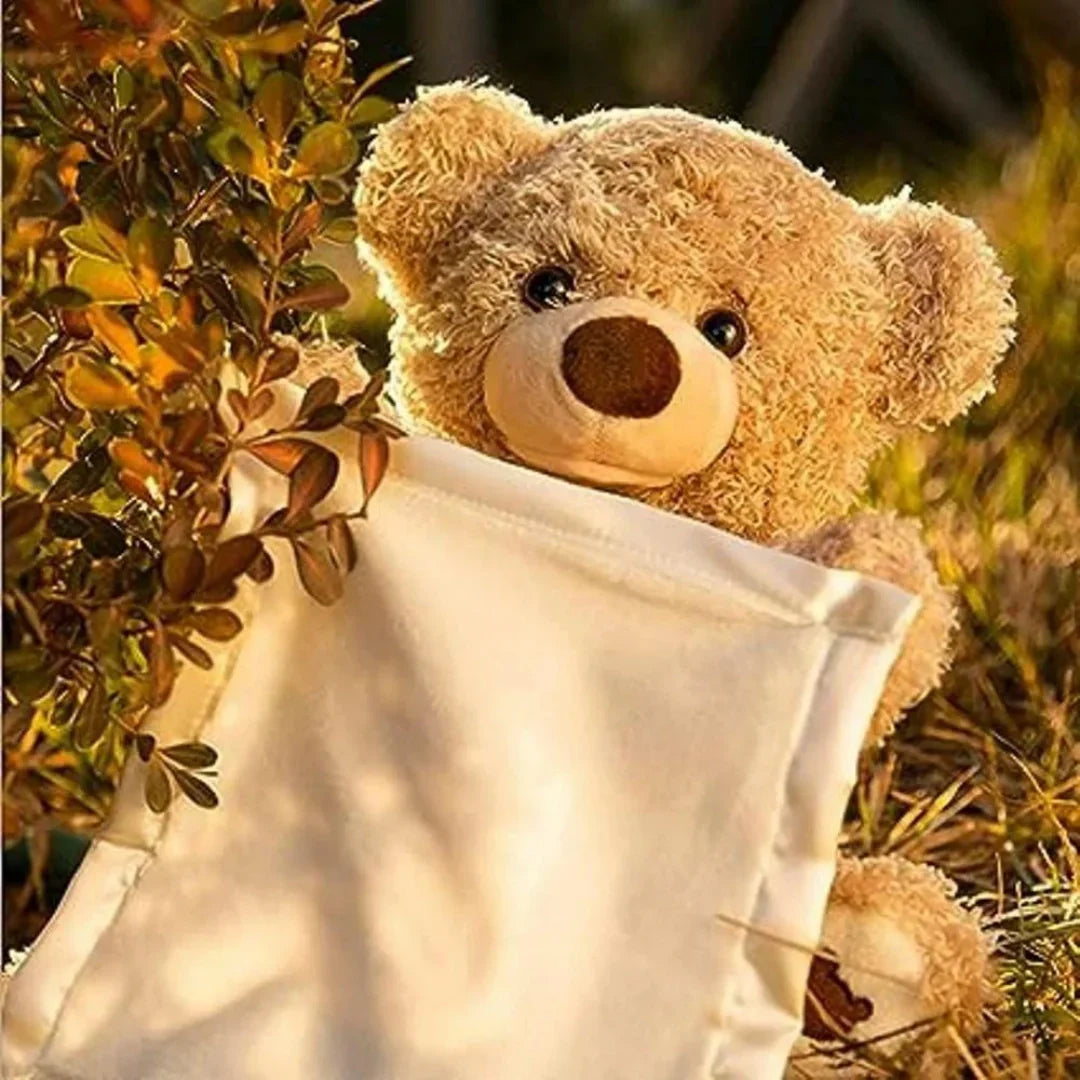 Bear Pee Ka Boo Bear Plush Toy