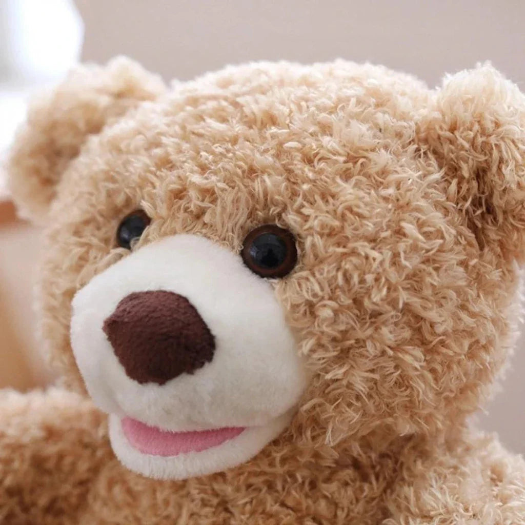 Bear Pee Ka Boo Bear Plush Toy