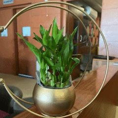 Mooncrest™ Vase