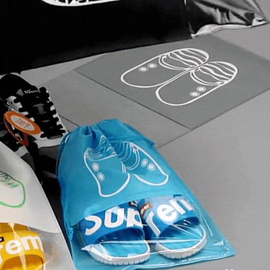 TravelPro: Shoe Bags