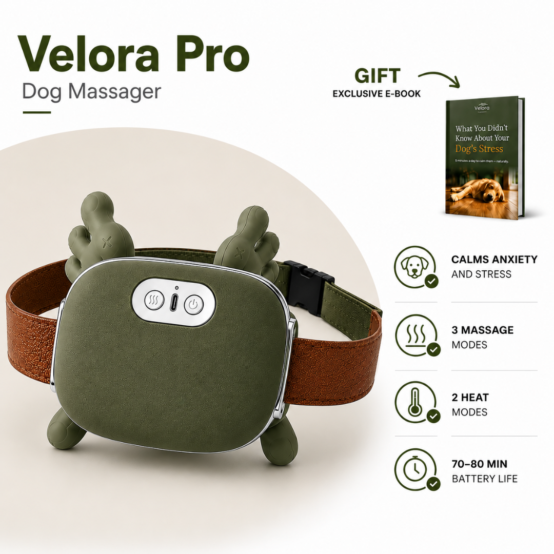DoggoBliss green calming pet massager main product image