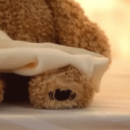 Bear Pee Ka Boo Bear Plush Toy