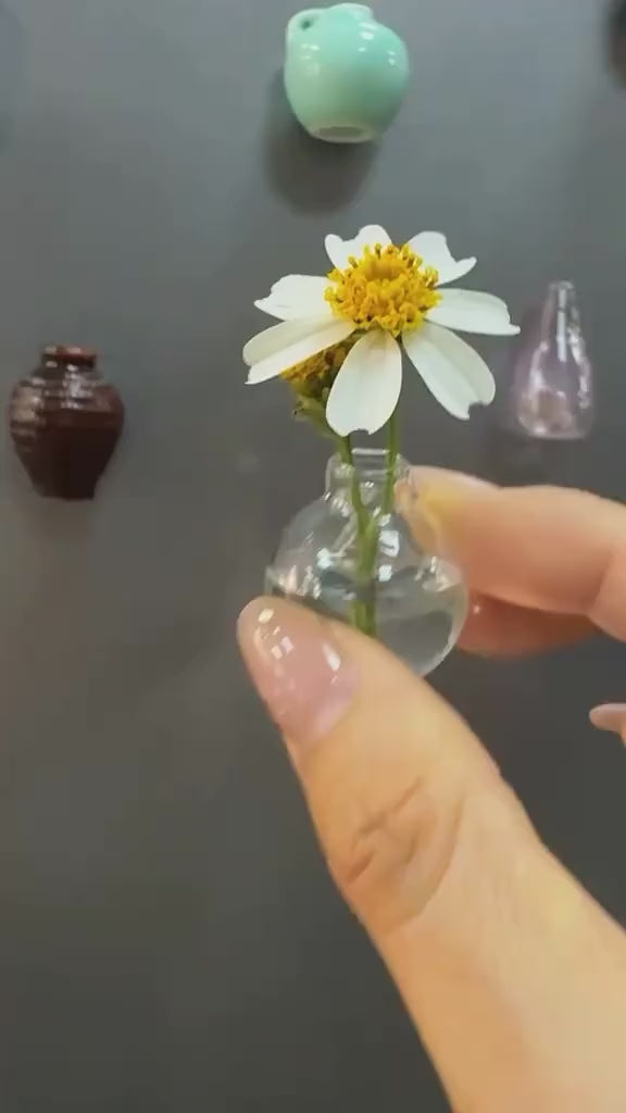 Fridge Magnet Pots